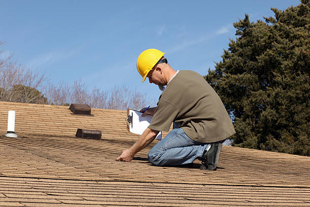 Best Roof Coating and Sealing  in Hamburg, IA